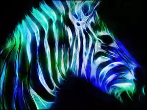 Zebra, Paski