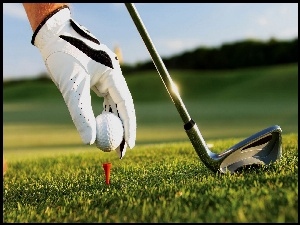 Rękawica, Kula, Golfowy, Kij, Ręka