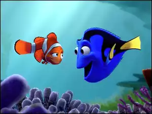 Nemo, Dory