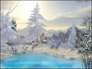 3D, Zima, Rzeka, Wilki, Las