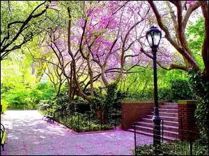 Wiosna, Park