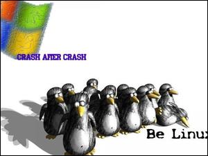 Linux, Windows, Kontra