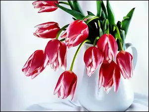 Wazon, Bukiet, Tulipanów