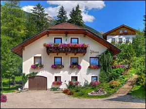 Kwiaty, Dom, Wiosna