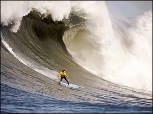 Surfing, Fala
