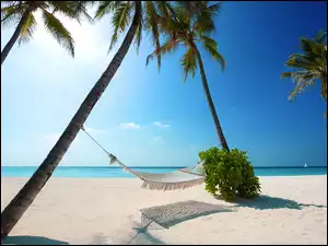 Hamak, Plaża, Słońce