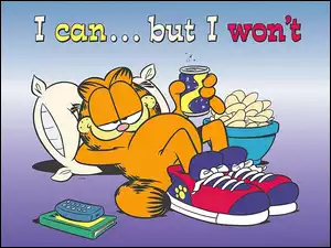Odpoczywający, Garfield