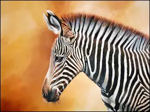 Smutna, Zebra