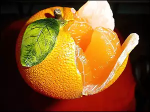 Pomarańcza, Grafika, Skórka, Listek