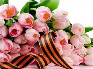 Wstążka, Różowe, Tulipany