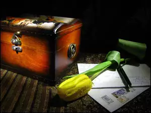 Żółty, Listy, Tulipan, Kuferek