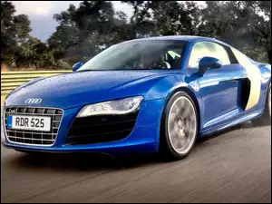 Niebieskie, Audi R8