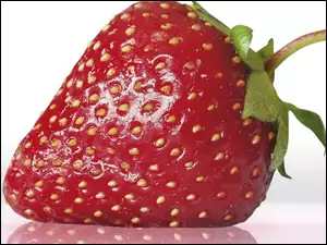 Truskawka