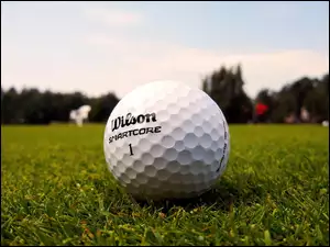 Wilson, Piłka, Golfowa
