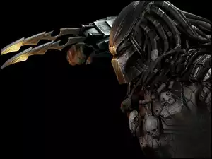 Predator