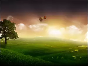 Balony, Łąka, Słońce