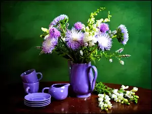 Astry, Fioletowa, Porcelana