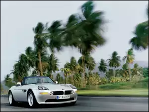 BMW Z8, Palmy