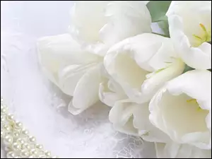Perły, Białe, Tulipany