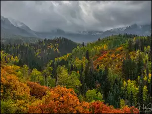 Drzewa, Chmury, Jesienne, Góry, Ciemne