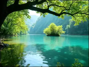 Zielone, Gałęzie, Jezioro, Góry, Drzewa