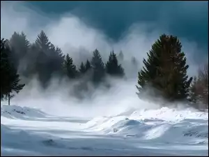 Drzewa, Grafika AI, Droga, Zima, Zamieć