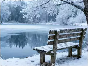 Staw, Zima, Drzewa, Śnieg, Las, Ławka, Grafika AI, Oszronione