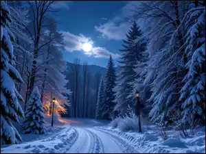 Droga, Zima, Drzewa, Księżyc, Ośnieżone, Światło