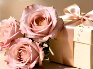 Jasnoróżowe, Róże, Krople, Trzy, Kokarda, Wstążka, Prezent