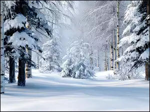 Grafika AI, Zima, Drzewa, Las