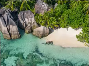 Głazy, Wyspa, Morze, Plaża, Seszele, Skały, Roślinność, Wyspa La Digue