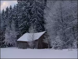 Szopa, Chata, Śnieg, Drzewa, Zima, Las