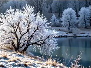 Grafika AI, Drzewo, Staw, Zima