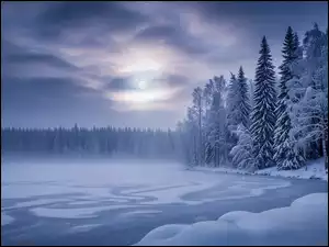 Drzewa, Księżyc, Jezioro, Zima, Mgła