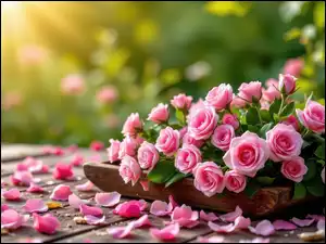 Płatki, Różowe, Róże, Rozsypane