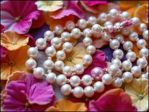 Płatki, Perły, Kwiaty, Kolorowe, Korale