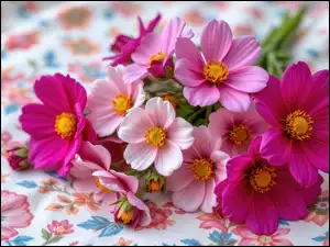 Materiał, Różowe, Kwiaty