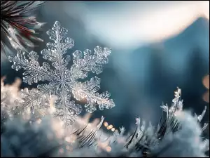 Rozświetlona słońcem śnieżynka na gałązce sosny