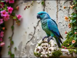Niebieska, Papuga, AI, Ptak, Pnącza, Kwitnące, Ściana