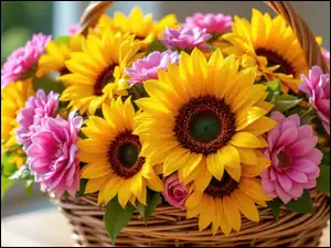 Koszyk, Kwiaty, Różowe, Słoneczniki