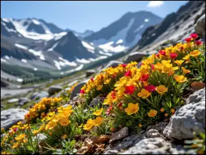 Śnieg, Kwiaty, Grafika AI, Góry, Kamienie, Czerwone, Żółte