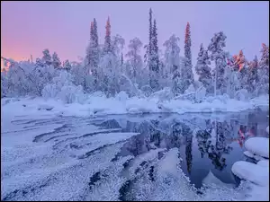 Rzeka, Zima, Drzewa, Zaspy, Oblodzona, Ośnieżone