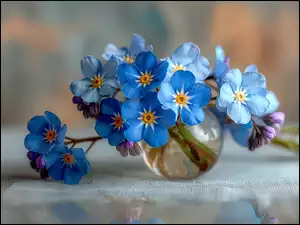 Niebieskie niezapominajki w szklanym wazoniku