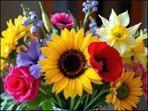 Kwiaty, Kolorowe, Róża, Bukiet, Słoneczniki, Narcyzy