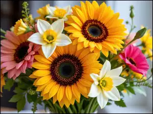 Mak, Bukiet kwiatów, Słoneczniki, Narcyzy