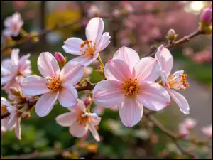 Grafika AI, Różowe, Kwiaty, Gałązka