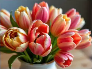 Wazon, Tulipany, Kolorowe, Kwiaty