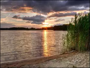 Trzciny, Jezioro, Wschód słońca