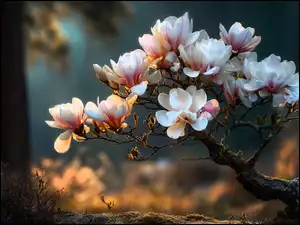 Krzew, Magnolia, Kwiaty, Grafika AI, Różowe, Bonsai