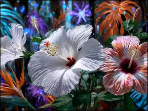 Grafika AI, Hibiskus, Kwiaty